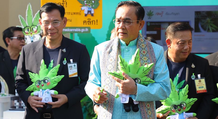 thailand legalisasi ganja